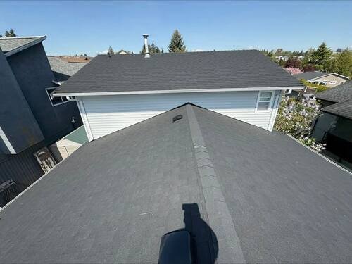 Skylight Replacement — Aerial view showing both new skylights sitting flush in the roofline.